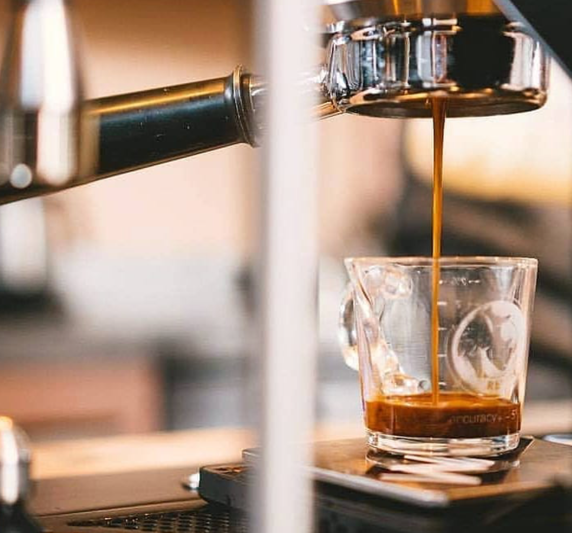 Rhino Coffee Glass - Double Shot